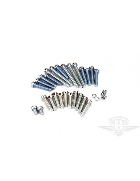 Skruvsats Motor Puch Maxi mfl