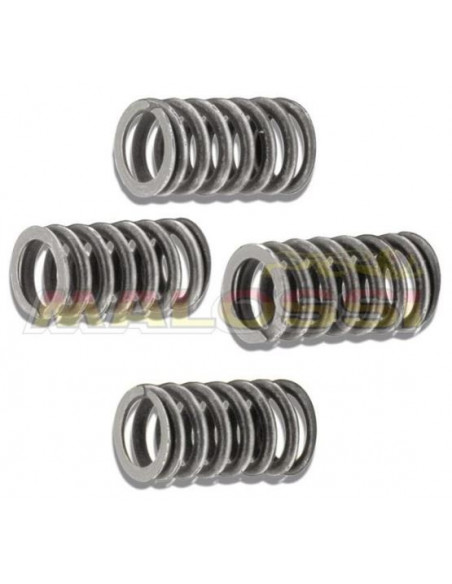 Fjädrar koppling AM6