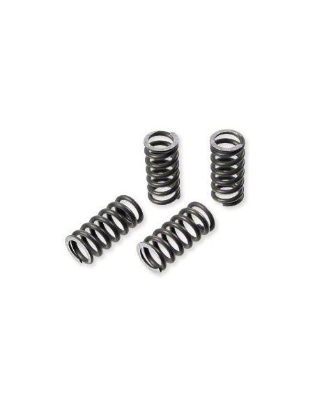 Kopplingsfjädrar Malossi Sport