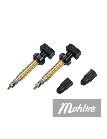 Tubelessventil BBB par