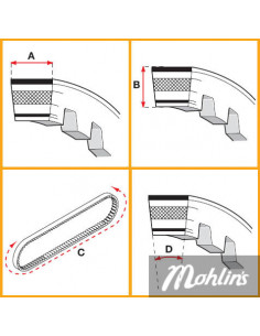 Variatorrem, Malossi 2