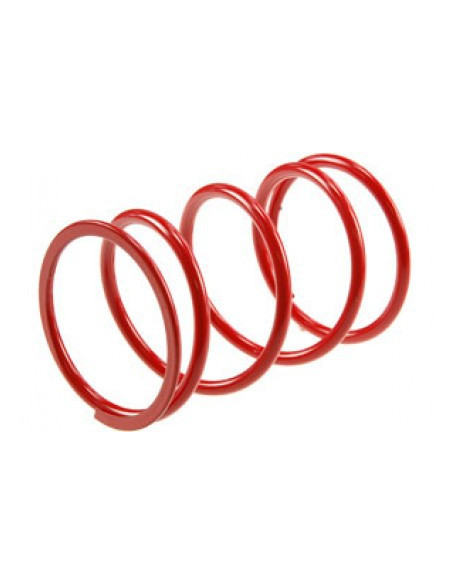 MALOSSI KOPPLINGSFJÄDER