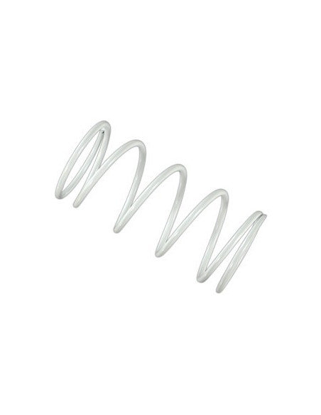 MALOSSI KOPPLINGSFJÄDER