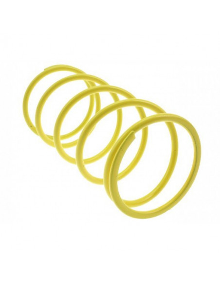 MALOSSI KOPPLINGSFJÄDER