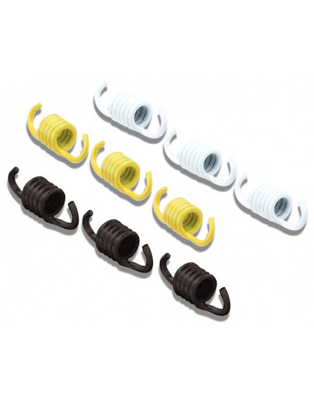 MALOSSI KOPPLINGSFJÄDRAR