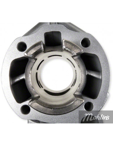 Cylinder Athena 40mm 50cc