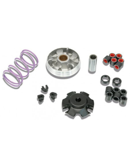 Malossi variator Piaggio