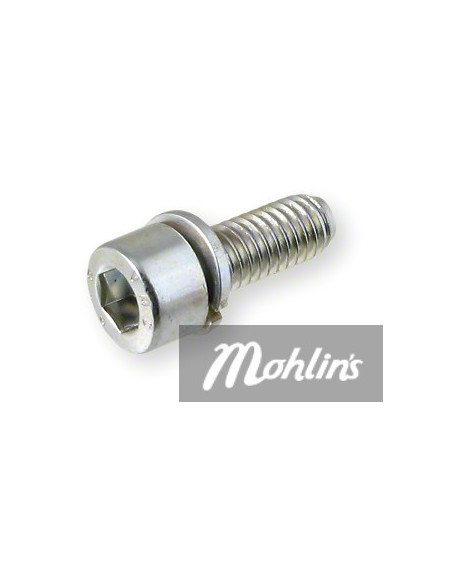 Skruv, Insex Gängad M6