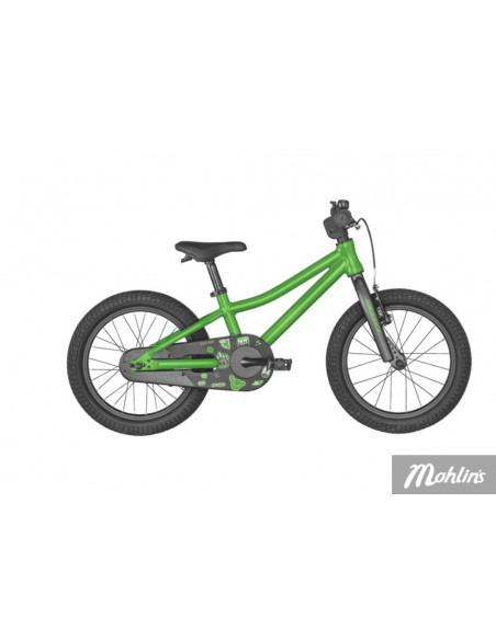 Scott Roxter 16 Grön