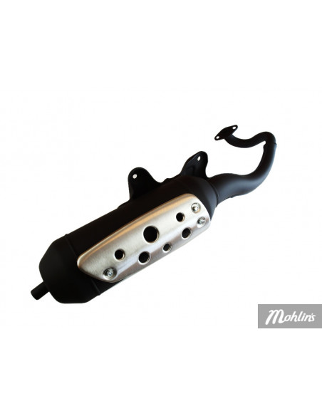 Avgassystem Peugeot Viva City3/Speedfight3