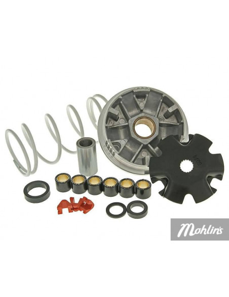 Variator Multivar Malossi