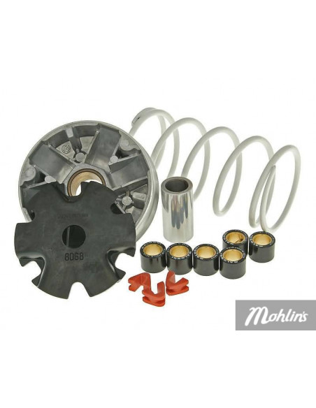 Variator Malossi [Multivar] 4-Takt