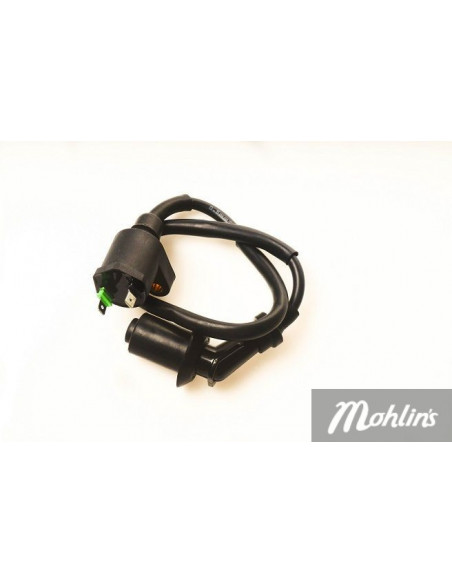 Tändspole (LPI)  GY6 (2-Stift)