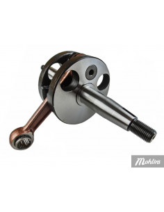 Vevparti Puch Maxi 2