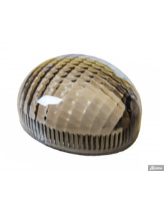 Blinkersglas Derbi 2