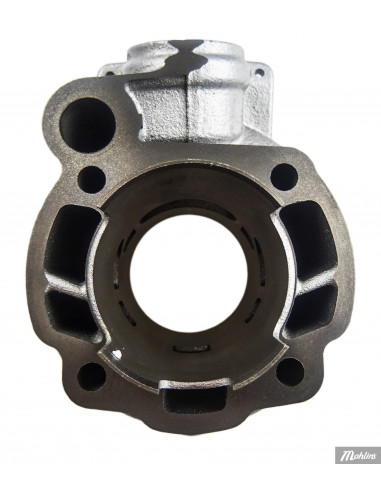 Cylinder Polini 80 cc, Minarelli AM6