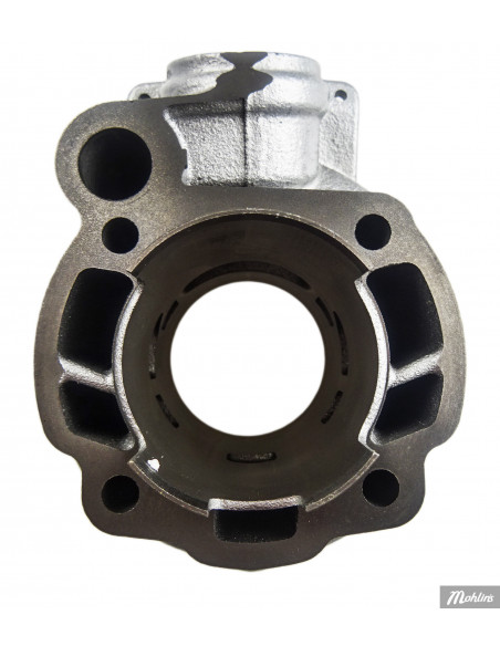 Cylinder Polini 80 cc, Minarelli AM6