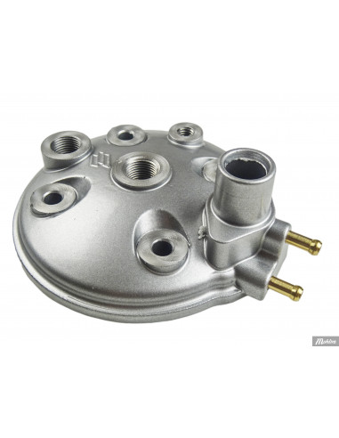 Cylinder Polini 80 cc, Minarelli AM6