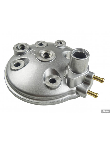 Cylinder Polini 80 cc, Minarelli AM6