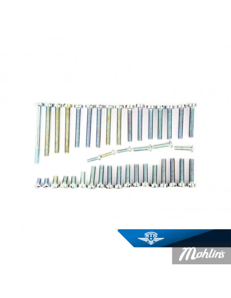 Skruvsats Motor Sachs