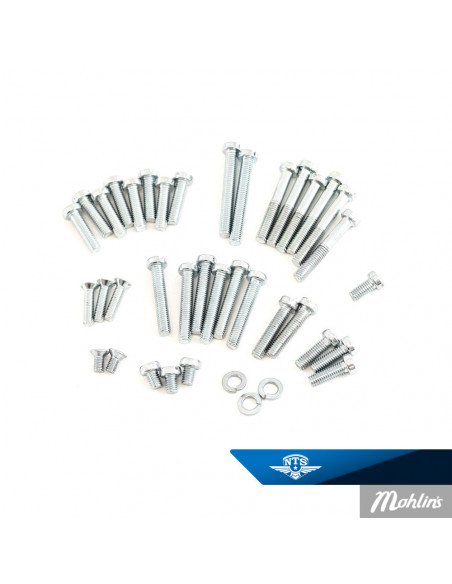 Skruvsats Motor Sachs, 2 & 3 växlade