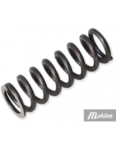 Fjäder vid Växeltrumma AM6