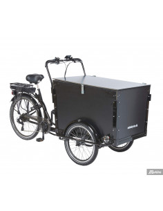 Lådcykel Workman Deluxe 2