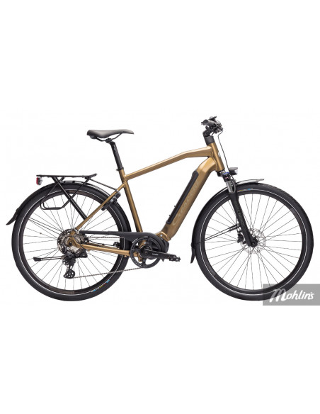 Crescent Elder 20S 10vxl 58cm