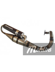 Avgassystem Tecnigas Next R 2