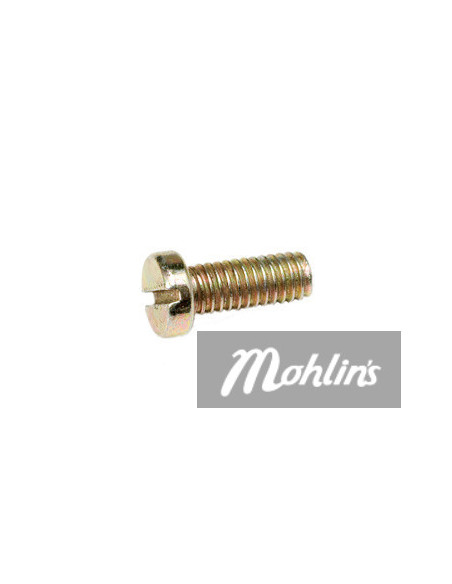 Bing 1/10/820 Skruv till flottörlock