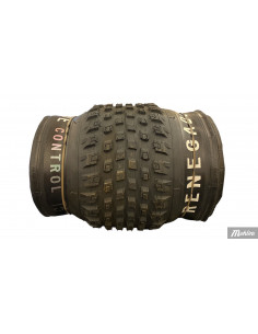 Specialized Renegade 29x2.35 T5 Control 2