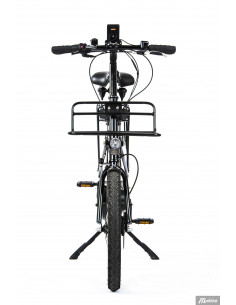 Cargobike Delivery 2