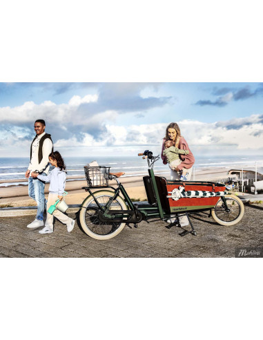 Bakfiets.NL Cruiser Long Di-2 5