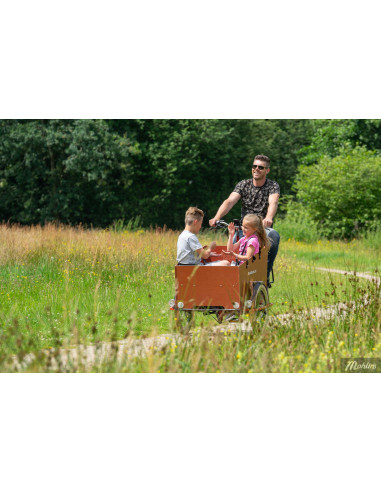 Bakfiets.NL Cruiser, bred, Di-2 5