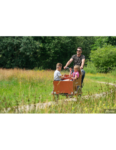 Bakfiets.NL Cruiser, bred, Di-2 5