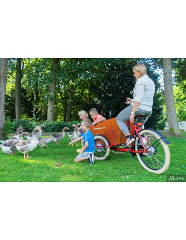 Bakfiets.NL Cruiser, bred, Di-2 5