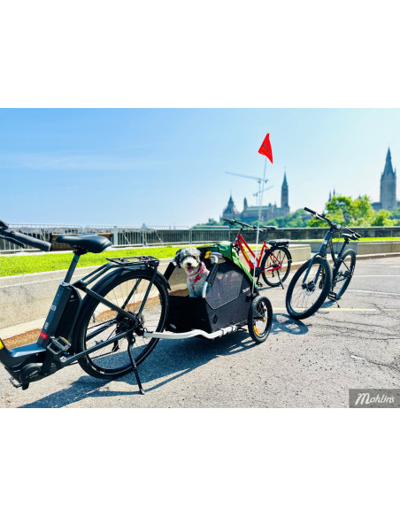 Cykelvagn Hundkärra BURLEY Tail Wagon