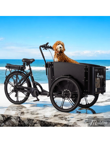 Cargobike Flex Dog