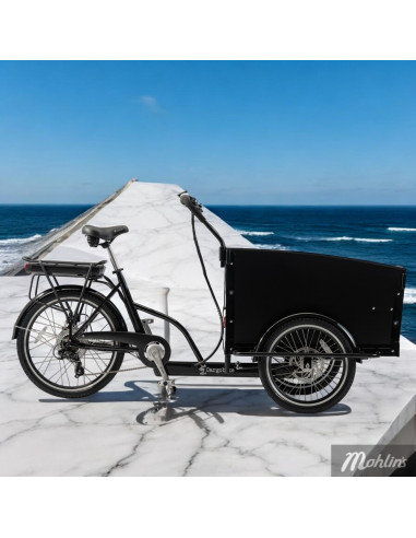 Cargobike Classic Electric Hydralic