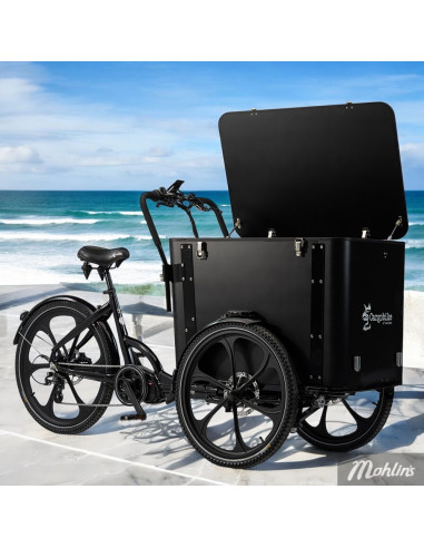 Cargobike Delight Box