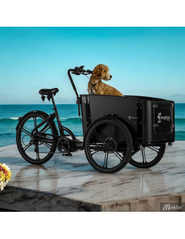 Cargobike Delight Dog