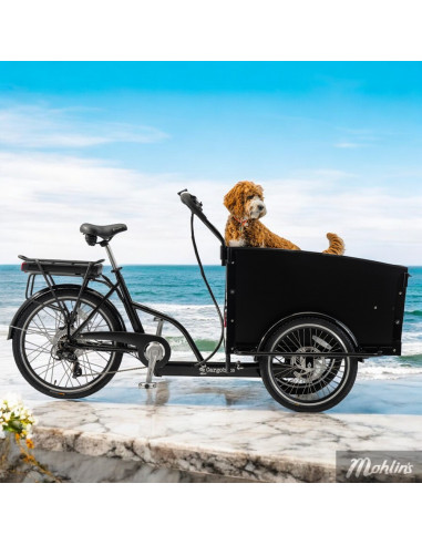 Cargobike Classic Dog