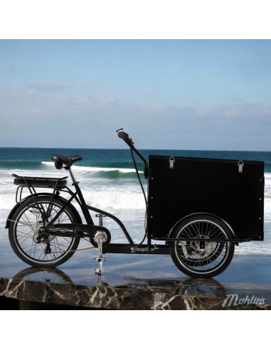 Cargobike Classic Box