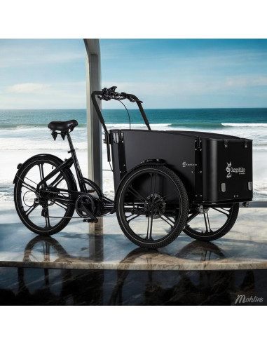 Cargobike Delight