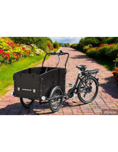 Lådcykel Ultimate Curve 2