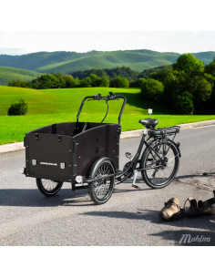 Lådcykel Ultimate Curve - Lådcykel 2