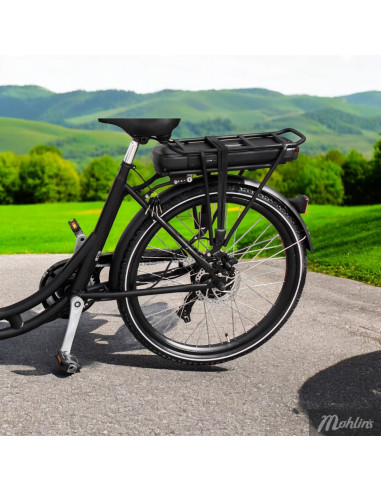 Lådcykel Ultimate Curve - Lådcykel