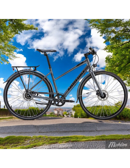 Nishiki City 707 Dam 7vxl 18tum Grafitgrå