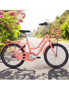 Centurion Basic Urban+ Flick 3vxl fotbroms 20in Blank...