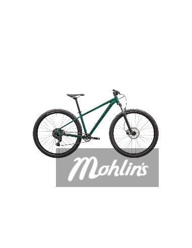 Specialized RockHopper Sport 27,5 Gloss Pine...